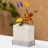 Homegrown Home Goods: Mycelium Fabrication Workshop w/ 10th Floor Studio — October 30, 2025