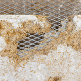 Homegrown Home Goods: Mycelium Fabrication Workshop w/ 10th Floor Studio — October 30, 2025
