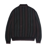 Striped Knitted Zip Up Polo (Green/Multi)