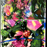 “still life (apology)” by Kristen Wong