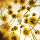 Dandelion Butter