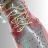 BioTextiles Design Workshop w/ Olivia Cueva — September 14, 2025