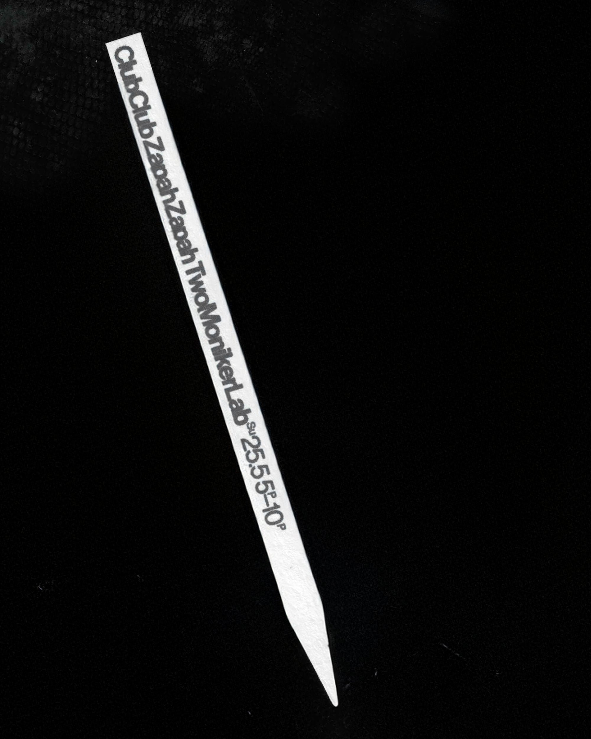 ClubClub ZapahZapah TwoMonikerLab Scent & Sound Exhibition — May 25, 2025