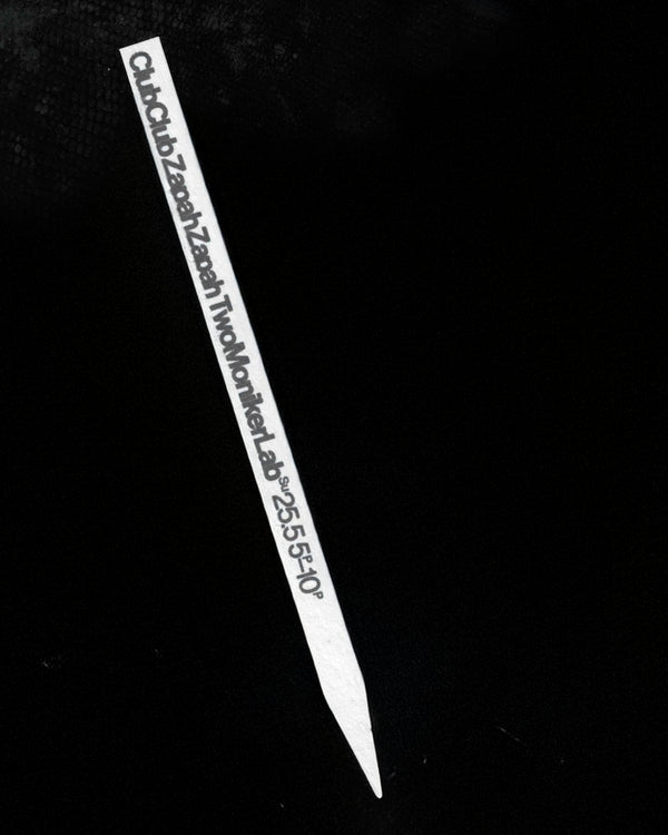 ClubClub ZapahZapah TwoMonikerLab Scent & Sound Exhibition — May 25, 2025