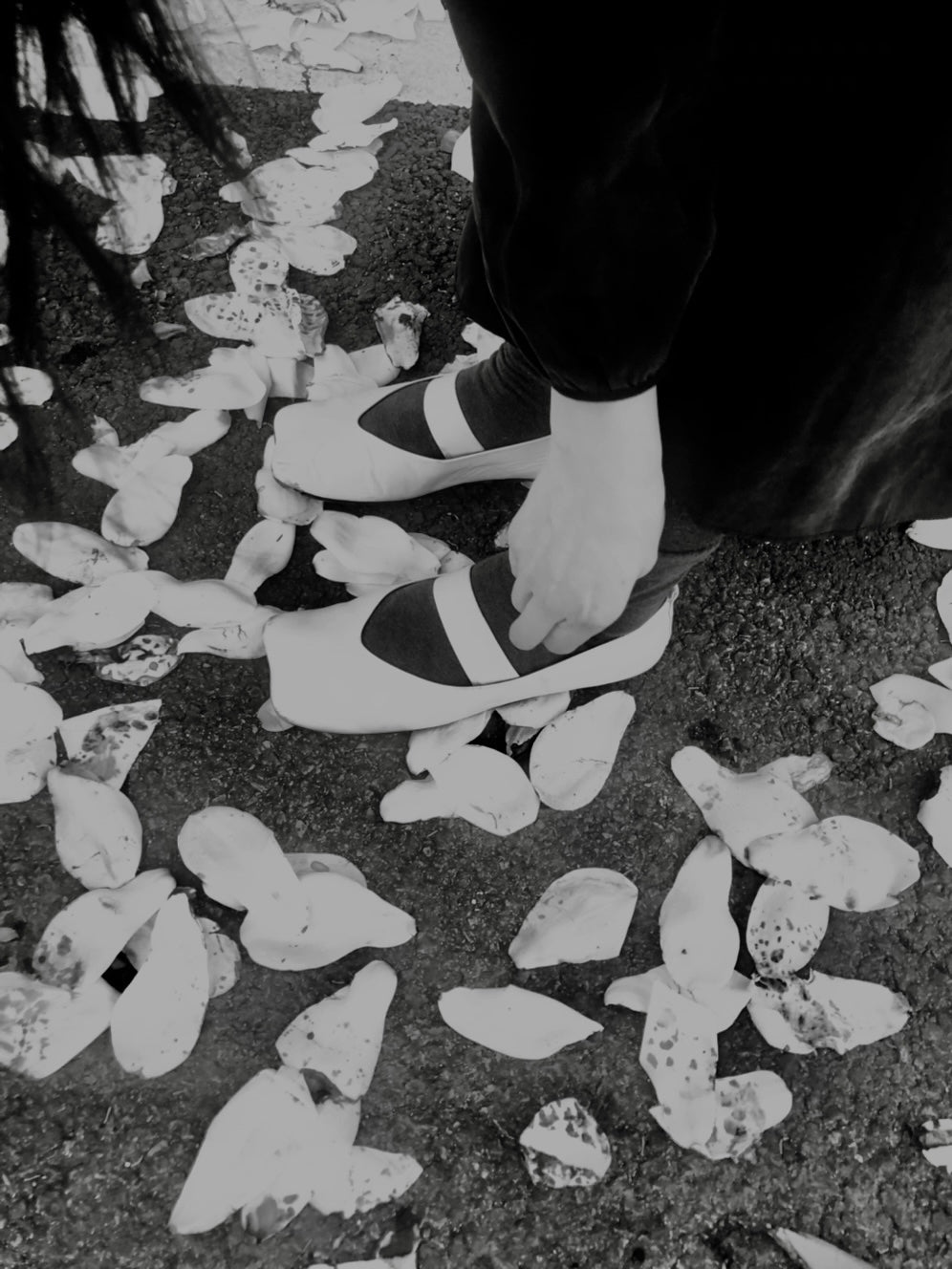 Oojoo Ballerina Flats (White)