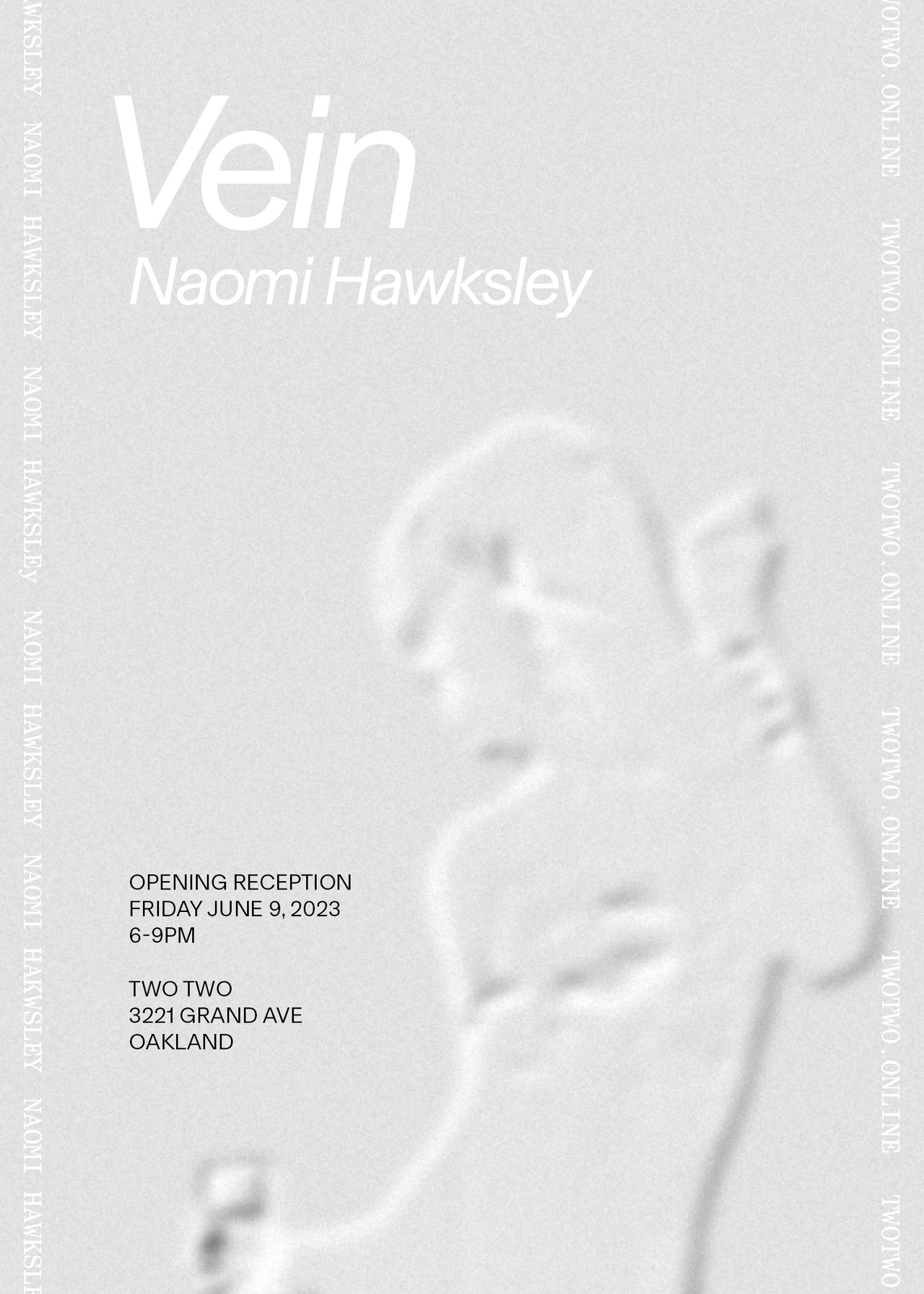 Naomi Hawksley "Vein" Opening — 6/9/23