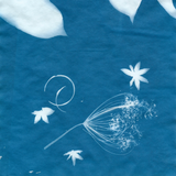 Sunprint Kit (Refill)