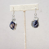 Blue Shell Earrings