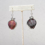 Pink Mix Shell Earrings