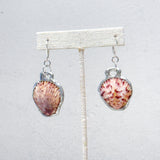 Spotted Shell Earrings