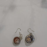 Round Shell Earrings (Mixed)