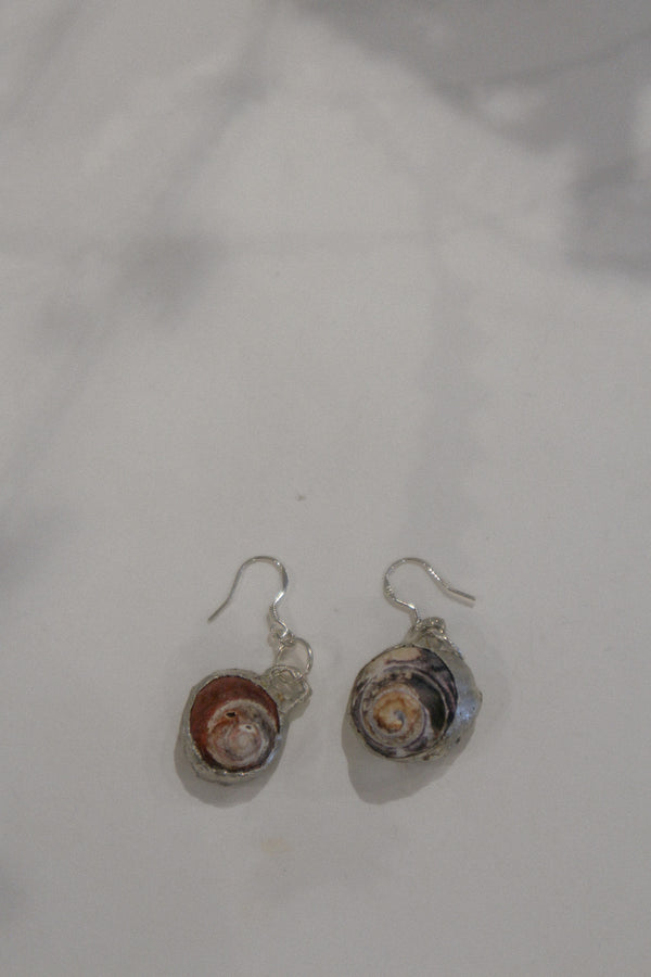 Round Shell Earrings (Mixed)