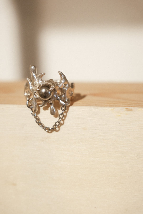 Torrent Chain Ring
