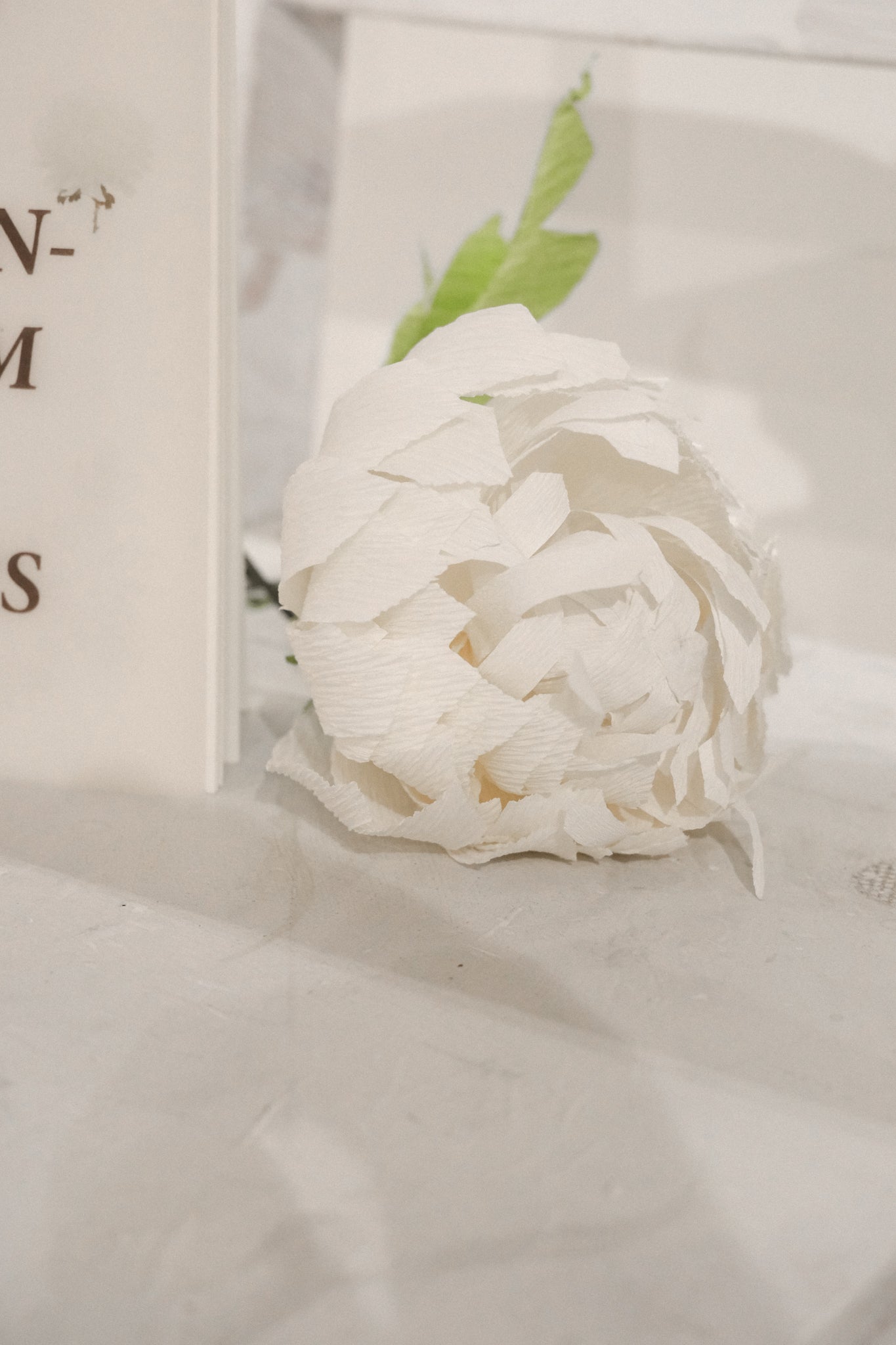 Chrysanthemum Paper Flowers Zine