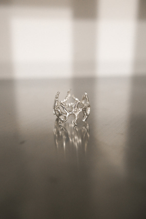 Metamorphosis Ring